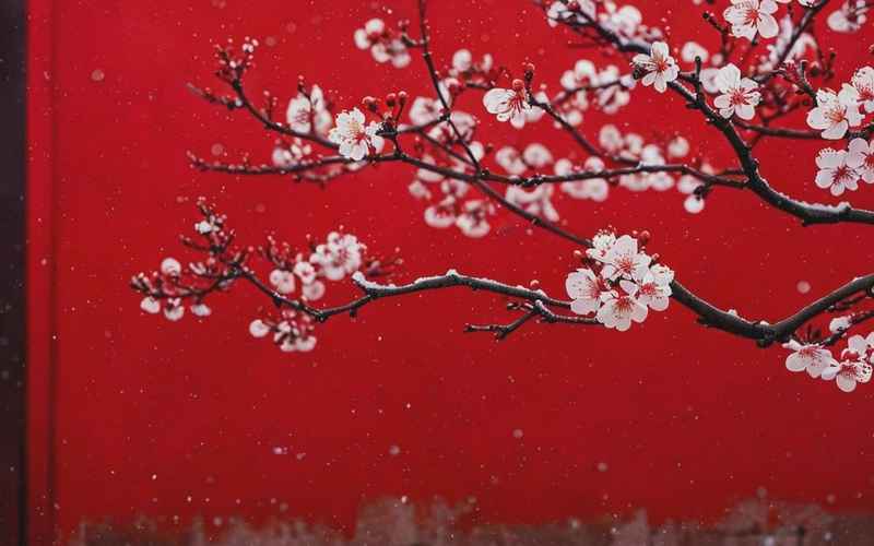 还珠传奇：紫禁城烟雨中的人情与江山梦