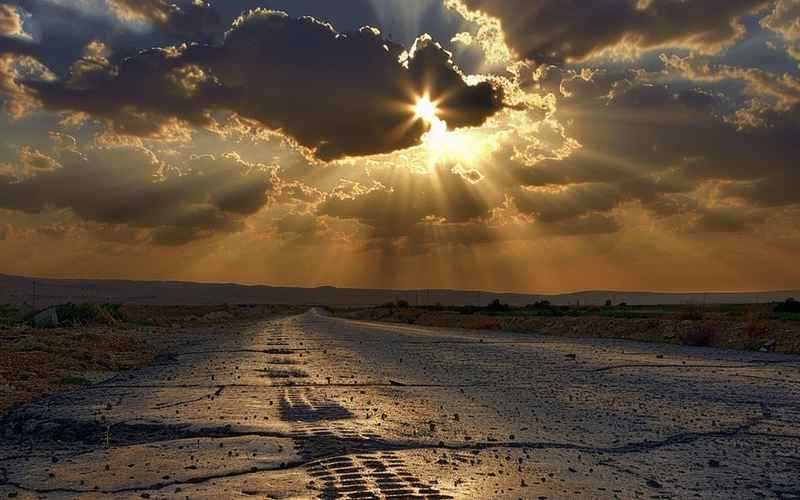 阳光下的漫漫人生路