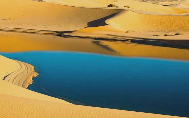 《阿拉善盟自然风光：沙漠、橄榄树、红海一日游》