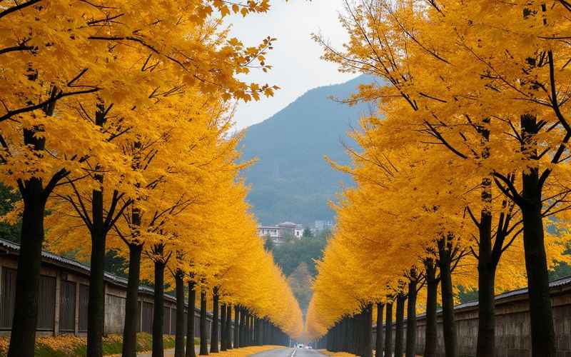阜汽車,阜汽車站到平輿最晚班車幾點
