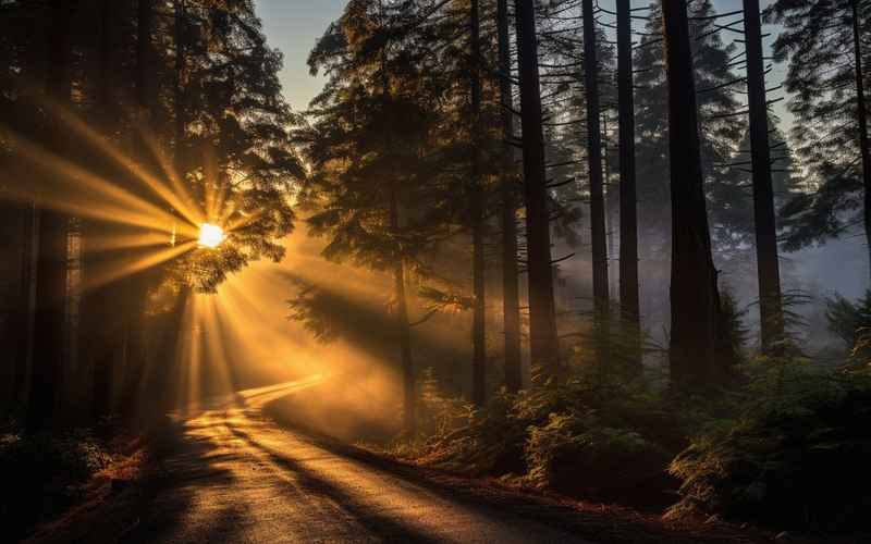 青春有路，晨光为伴