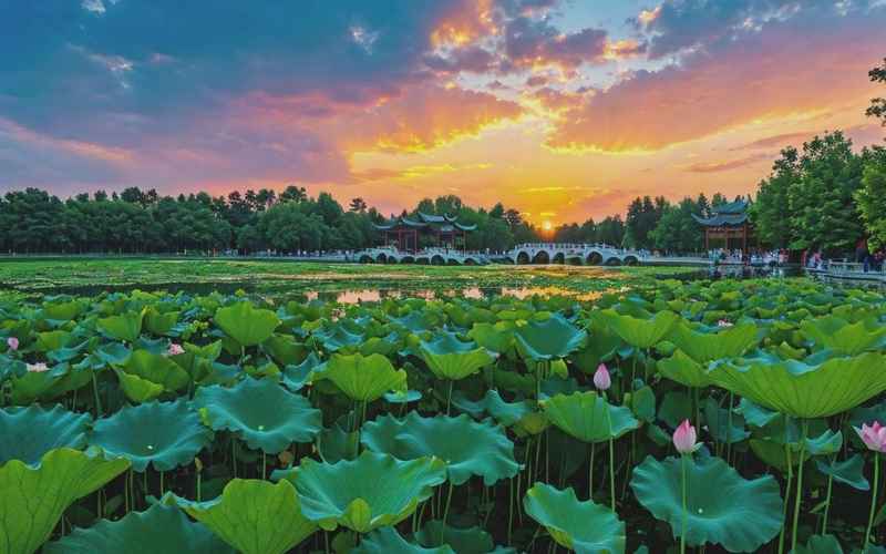 《邀你共赏家乡美景》