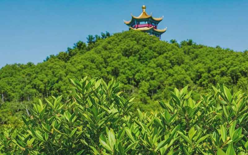 寶雞市鳳翔縣：鳳凰山旅游景點(diǎn)推薦