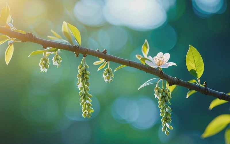 春藏时光里的幸福谜语