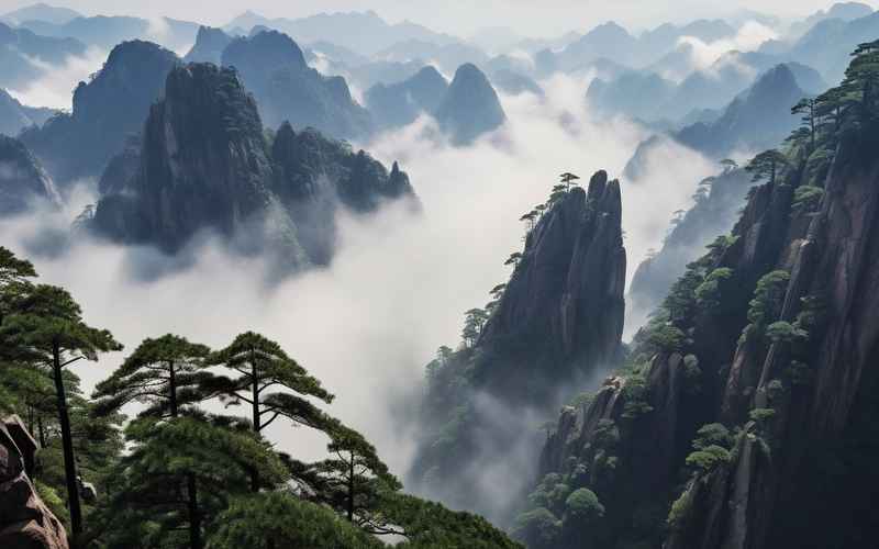 金阳旅游：黄山美景与文化一日游