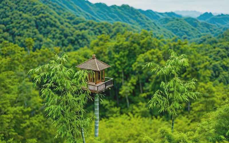 周至美景就在眼前