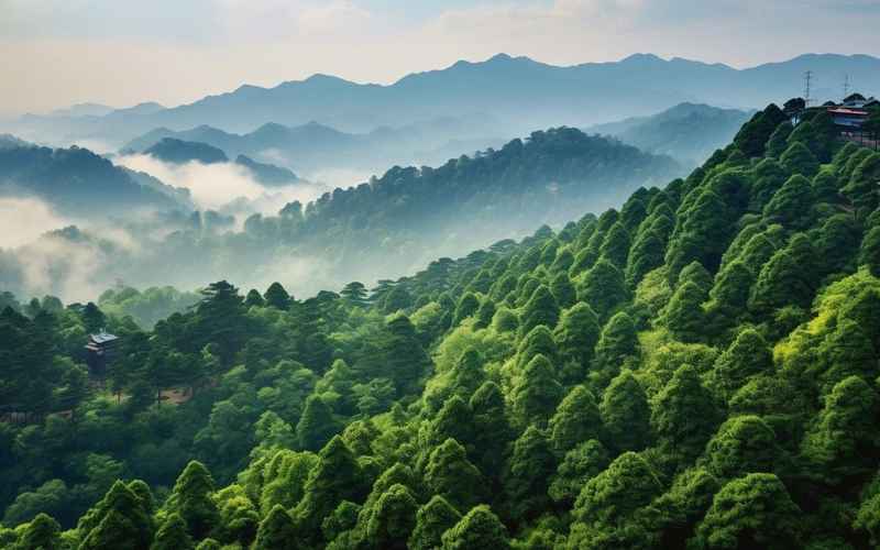 井冈山在江西什么地方 3bd6686c036a97c701c5c3ec3d70710d.jpg