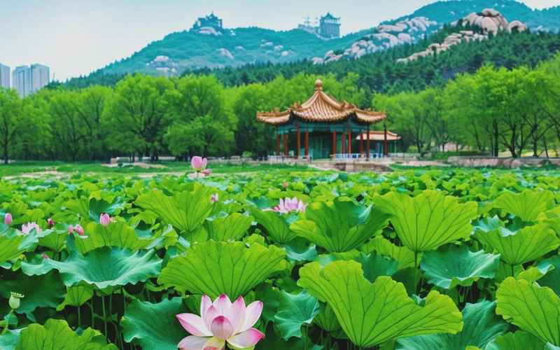 臨沂市旅游景點排行榜：自然風光與歷史文化名勝地推薦