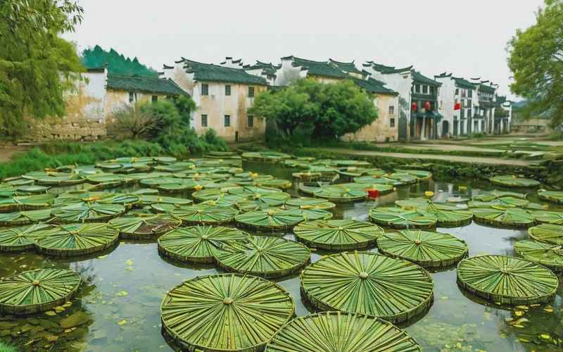 安徽宏村古镇旅游攻略:探秘千年文化 安徽宏村古镇旅游攻略:探秘千年文化