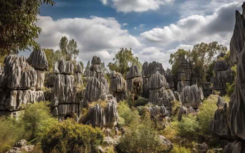 石林旅游攻略：奇觀奇景必游指南