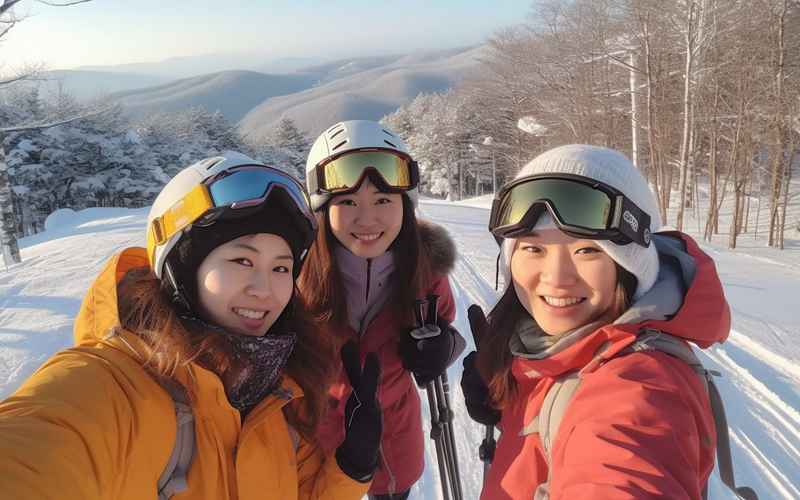 东北旅游线路推荐：经典景点一日游深度探秘