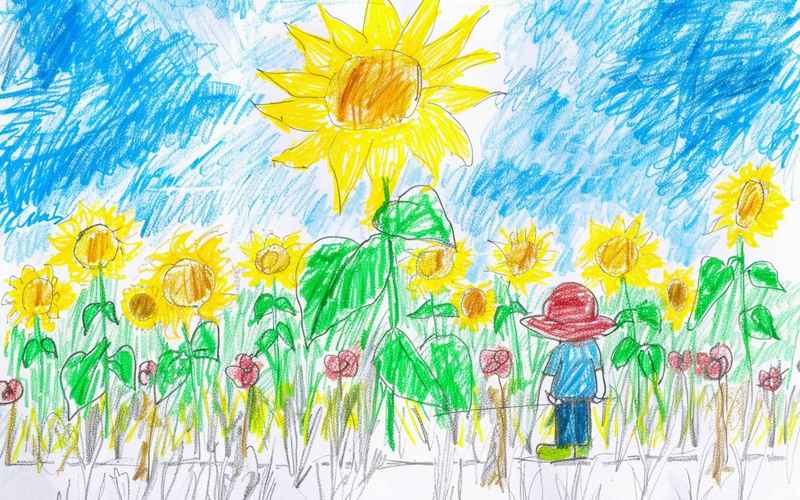 阳光路上成长记电视剧