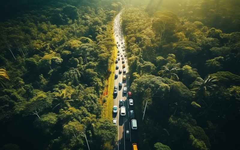 交通助力旅游 交通助力旅游