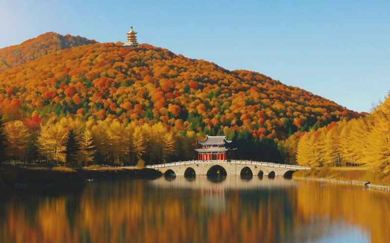 一站式丹东旅游团报价查询 一站式丹东旅游团报价查询