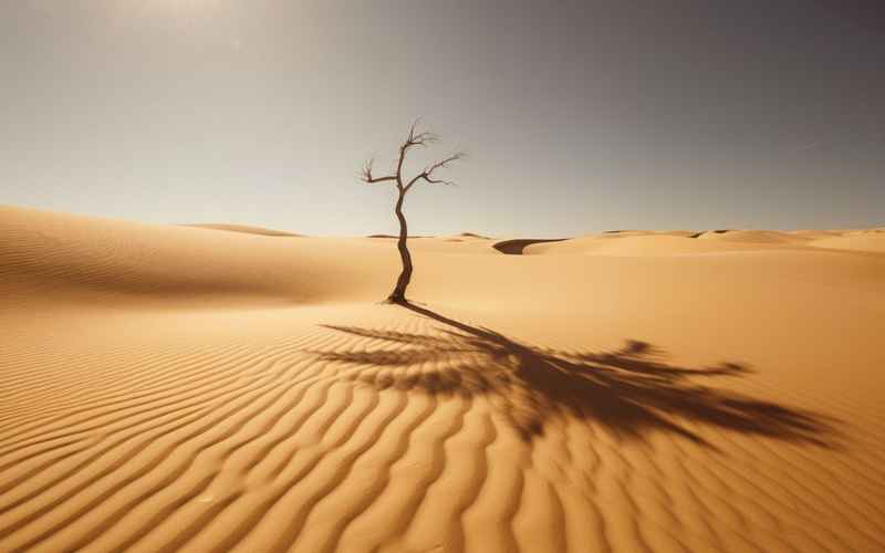 阿拉善的奇迹与风光 阿拉善的奇迹与风光