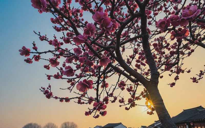 四月去哪儿最好玩 四月去哪儿最好玩