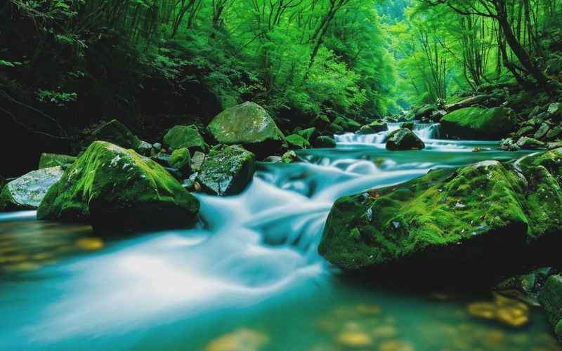 木里森林旅行攻略