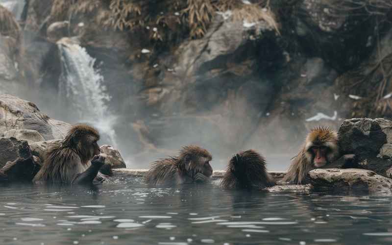 临沂旅游团报名  探索自然风光与温泉之旅