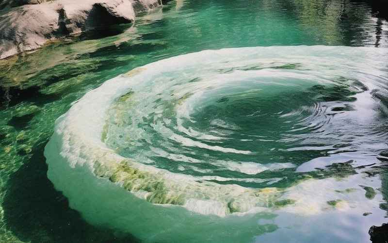 萬泉湖：泉涌生靈