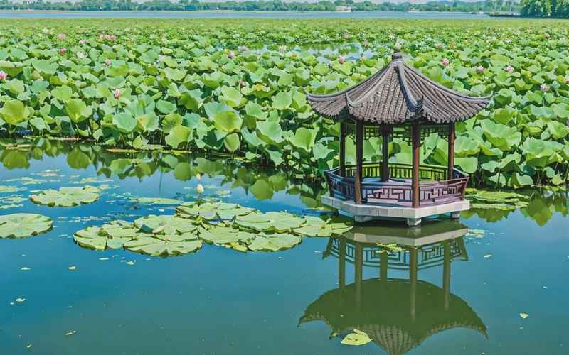 白洋淀景區旅游攻略：必打卡景點推薦及游玩指南