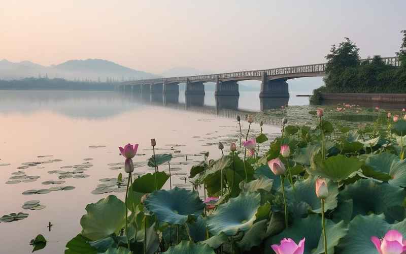 庐江旅游景点大全:探秘自然与人文之美 庐江旅游景点大全:探秘自然与人文之美