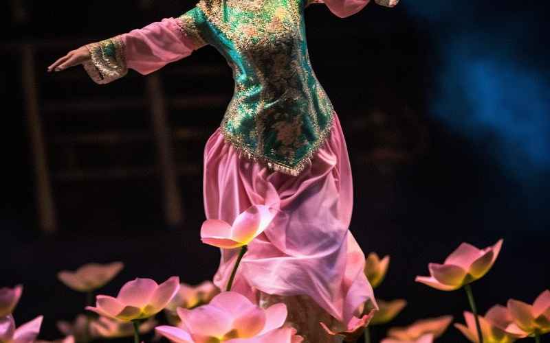 《丫丫传:玉兰醉梦舞风华》 《丫丫传:玉兰醉梦舞风华》