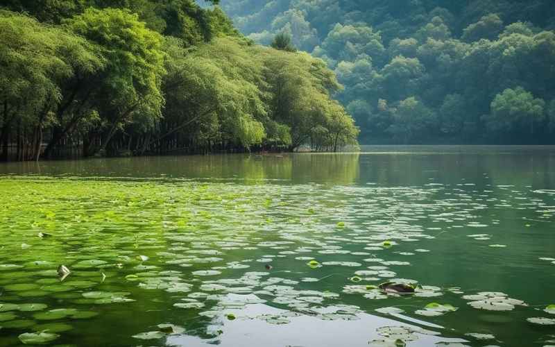 《小三峡小小三峡旅游攻略》