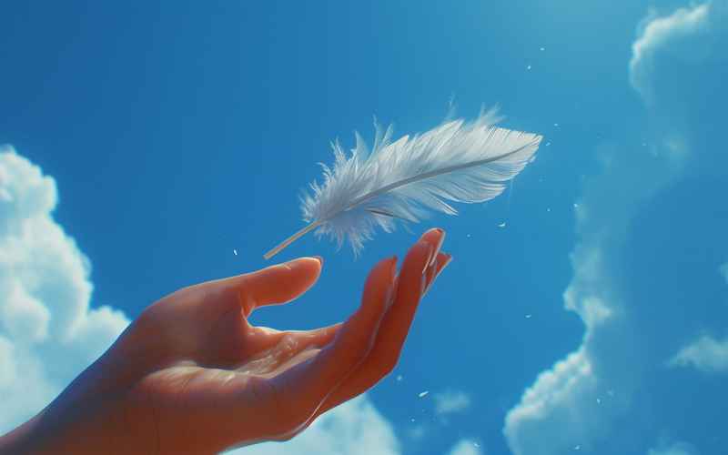 天使之羽：折翼重生与爱的救赎之路