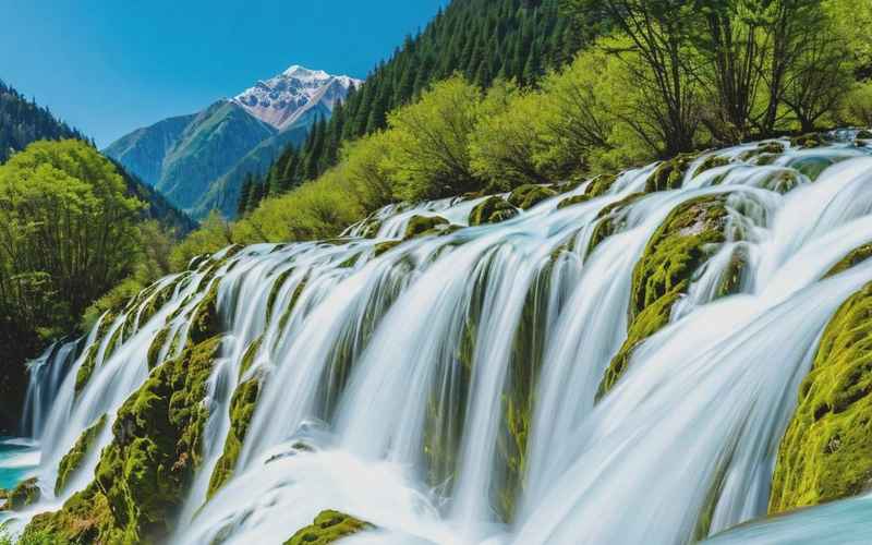 游九寨沟花多少钱？这些信息你需要知道