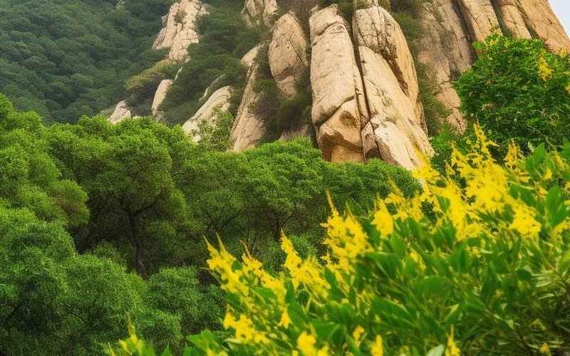 《嵖岈山绝美》