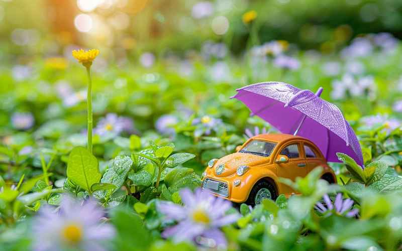 汽車保險怎么買(汽車保險怎么買去哪里買)