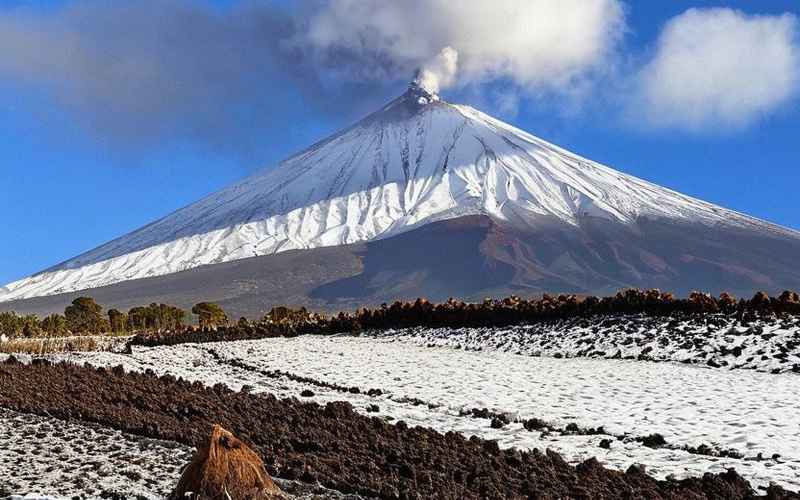 日本旅游大概多少钱 日本旅游大概多少钱