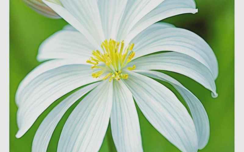 广西十绝：桂林山水+北海银滩+玩乐攻略