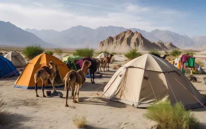 帳篷出西域 帳篷出西域