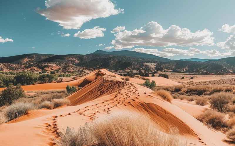 沙漠草原风景奇妙