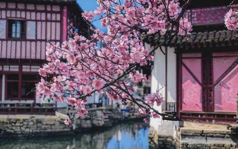 無錫黿頭渚旅游攻略：古鎮(zhèn)與歷史的完美融合
