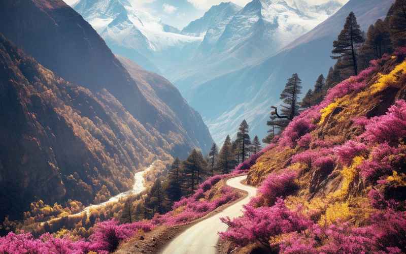 淇澳岛：自然之美，绝美旅程