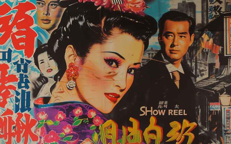 《熒屏人生：線上觀劇的浮世繪與真情實(shí)錄》