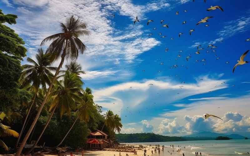 亞庇熱帶風情之旅