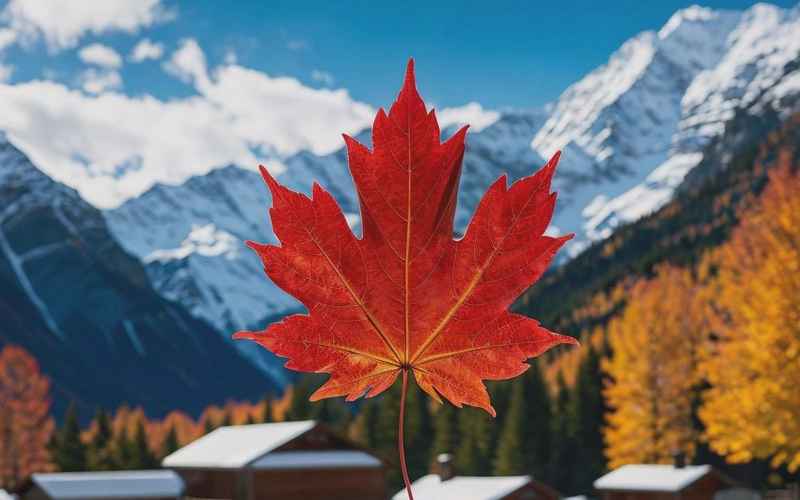 《加拿大深度游：自然与美食之旅》