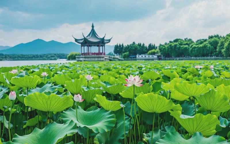 西湖景區旅游攻略：深度游必去景點推薦