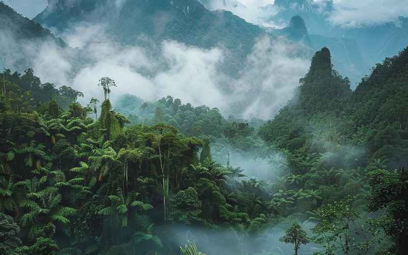 五指山自然与人文瑰丽景观