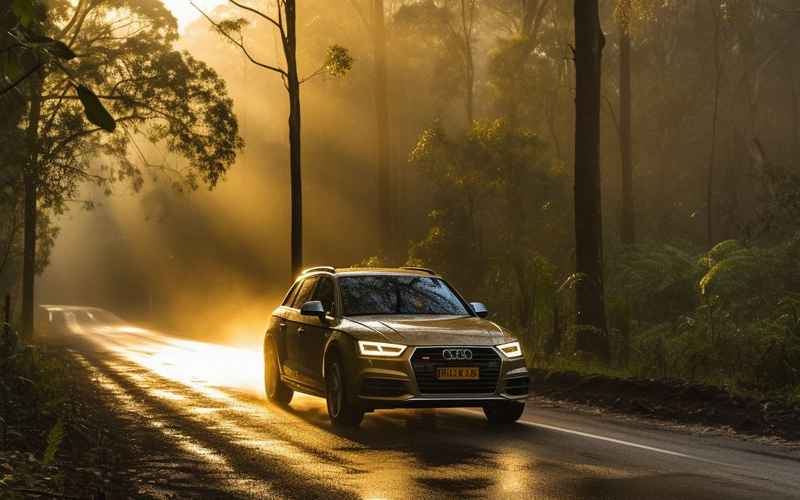 q5論壇汽車之家,q5 論壇