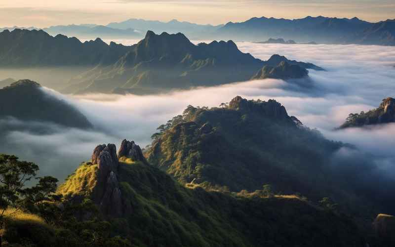 尋龍山旅游攻略：云霧峰的秘境探途