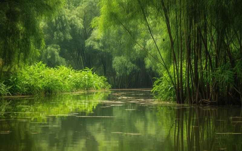 西溪濕地：生態(tài)與人文共生
