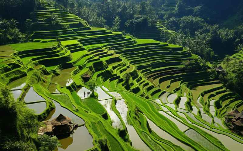 加榜梯田：梯田秘境旅游攻略