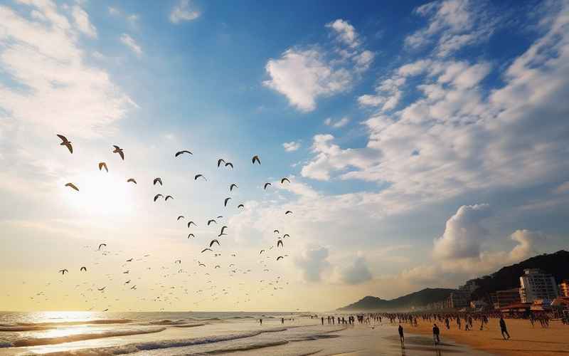 阳江海陵岛:海洋奇观的秘密 阳江海陵岛:海洋奇观的秘密