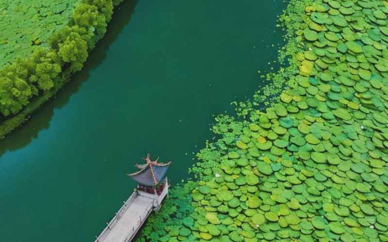 无为景点绝绝子旅游 无为景点绝绝子旅游