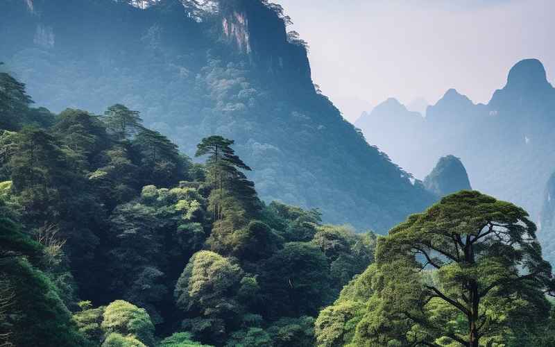 探秘湖南莽山絕美景點獨行指南