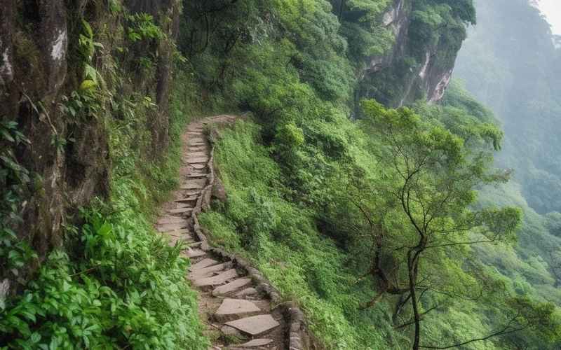 《大明山旅游攻略：探秘自然与历史的完美融合》